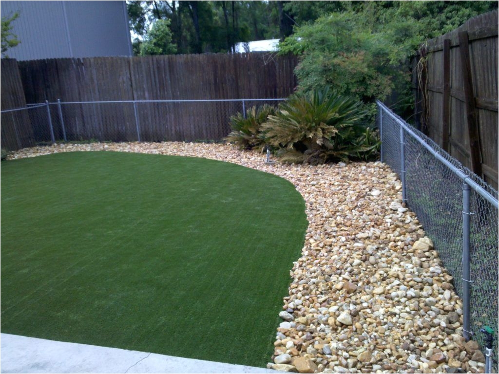 pet hospital dog run rehabilitation area with artificial turf grass outdoor dog area dog backyard