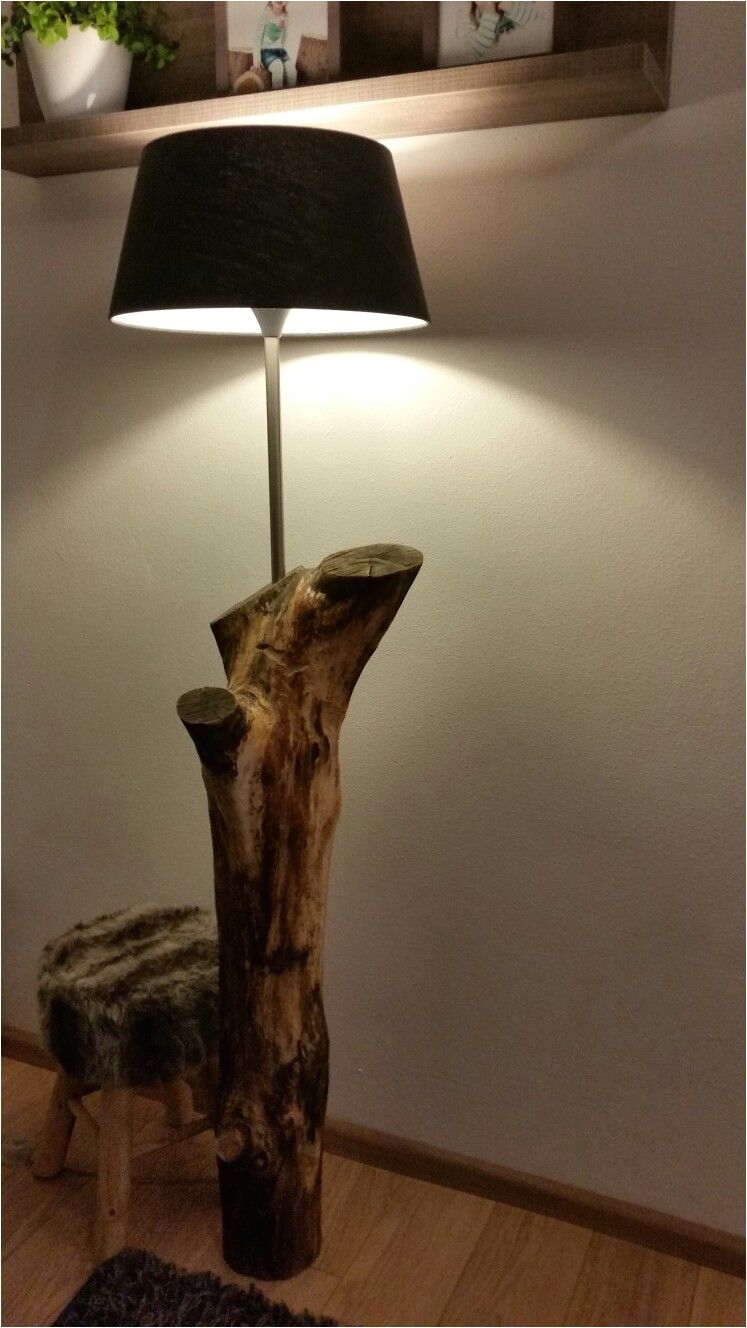 boomstam lamp