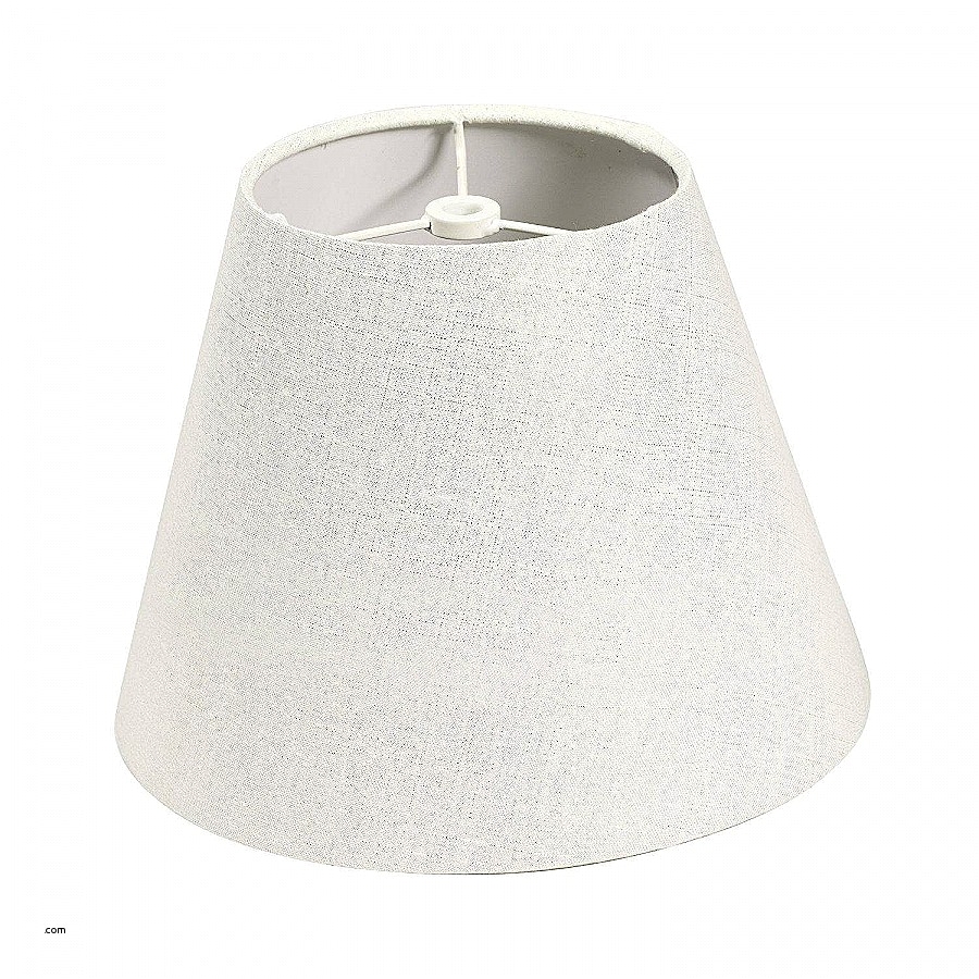 Drum Lamp Shades Bed Bath and Beyond Security Salt Light Best Of Salt Lamp Globes Salt Lamp Globes New