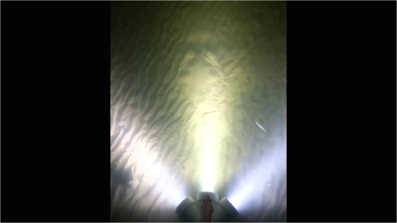 flounder gigging lights