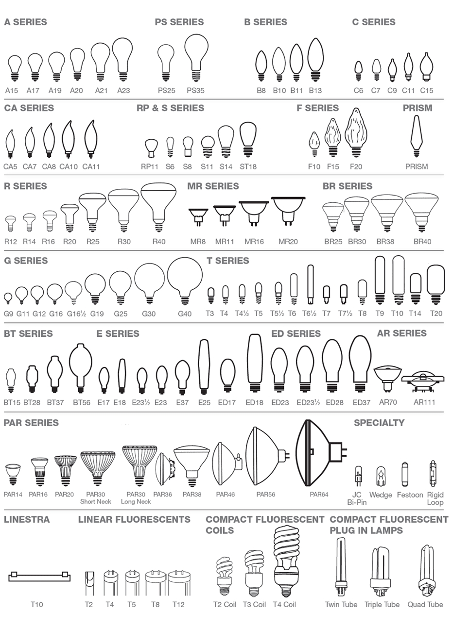 bulb shapes and sizes