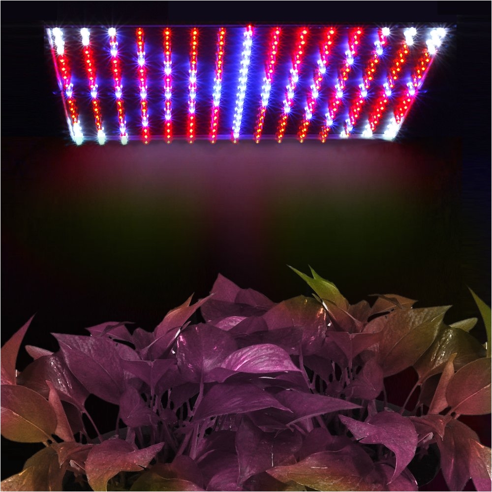 get quotations a· flexzion 225 led grow light panel blue red 14 watt hydroponic plant lamp for indoor