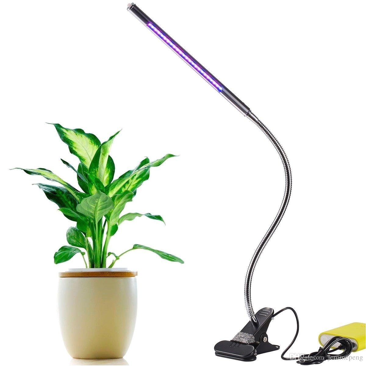 led grow lights 5w adjustable 3 level dimmable clip desk lamp for indoor plants with 360aflexible goose neck for office home indoor garden 300 watt led grow