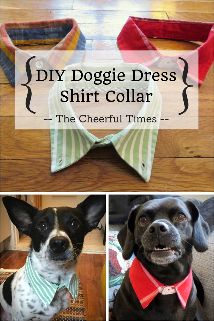 upcycle collared dress shirts from the thrift store into a stylish diy collar for your dog perfect gift for dog owners or a fun craft for your own pet