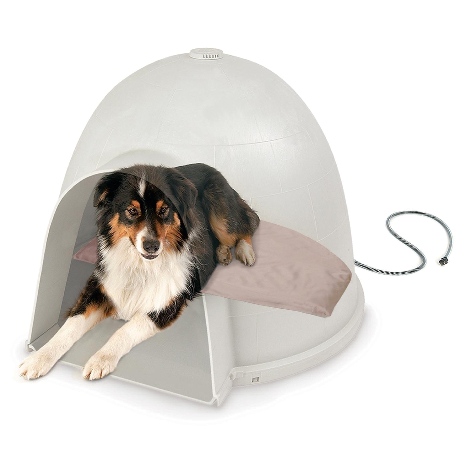 Igloo Dog House Heat Lamp Amazon Com Kh Pet Products Lectro soft Igloo Style Outdoor Heated