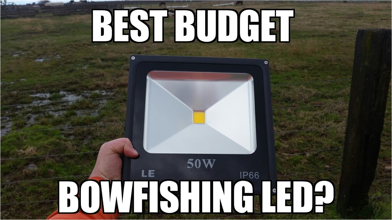 budget bowfishing led light le warm white led