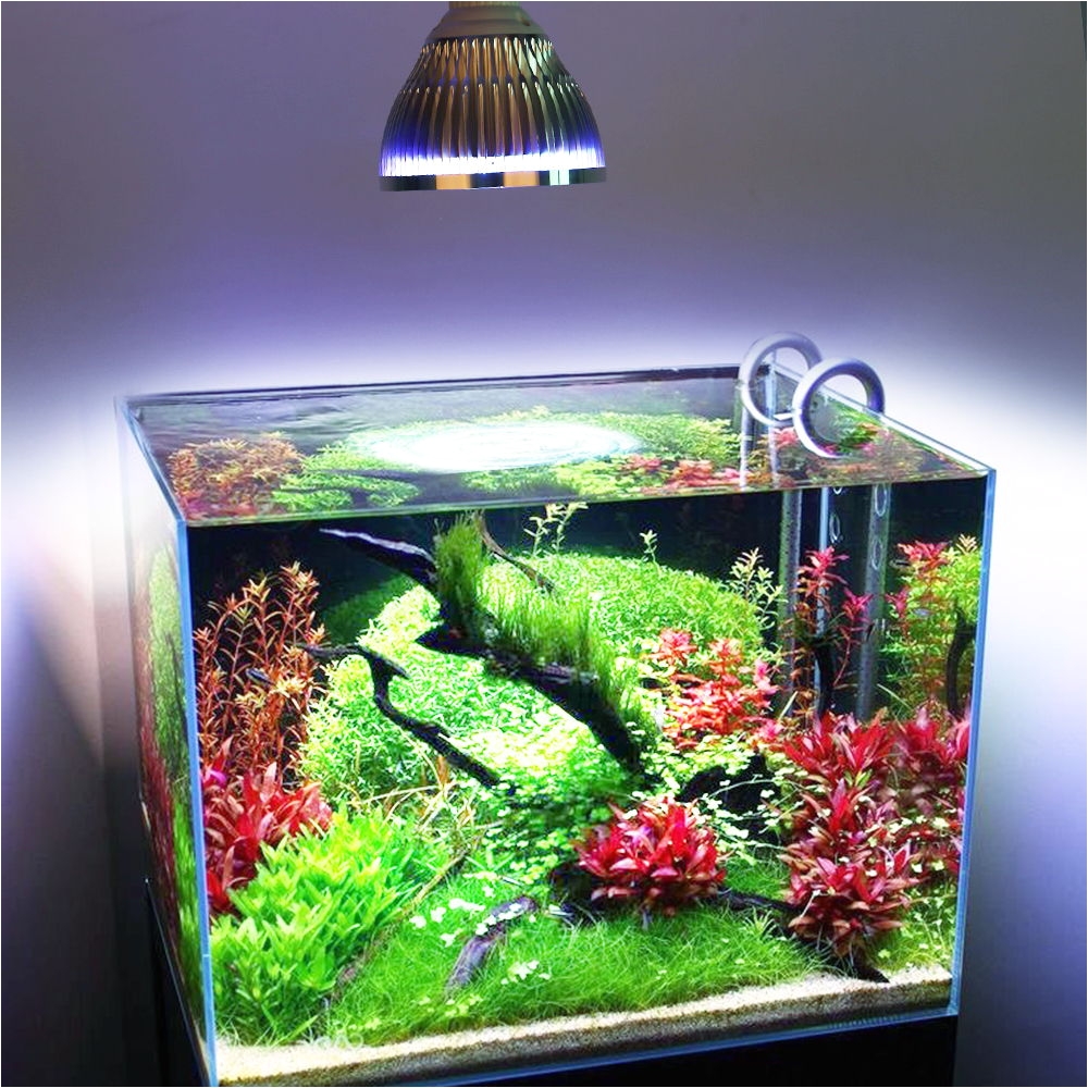 54w 36w freshwater saltwater aquarium lighting marine reef aquariums fish tank lights coral grow aquatic plants