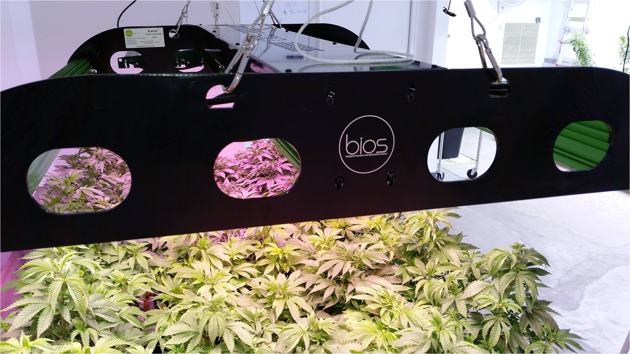 the only industrial grade led grow light available