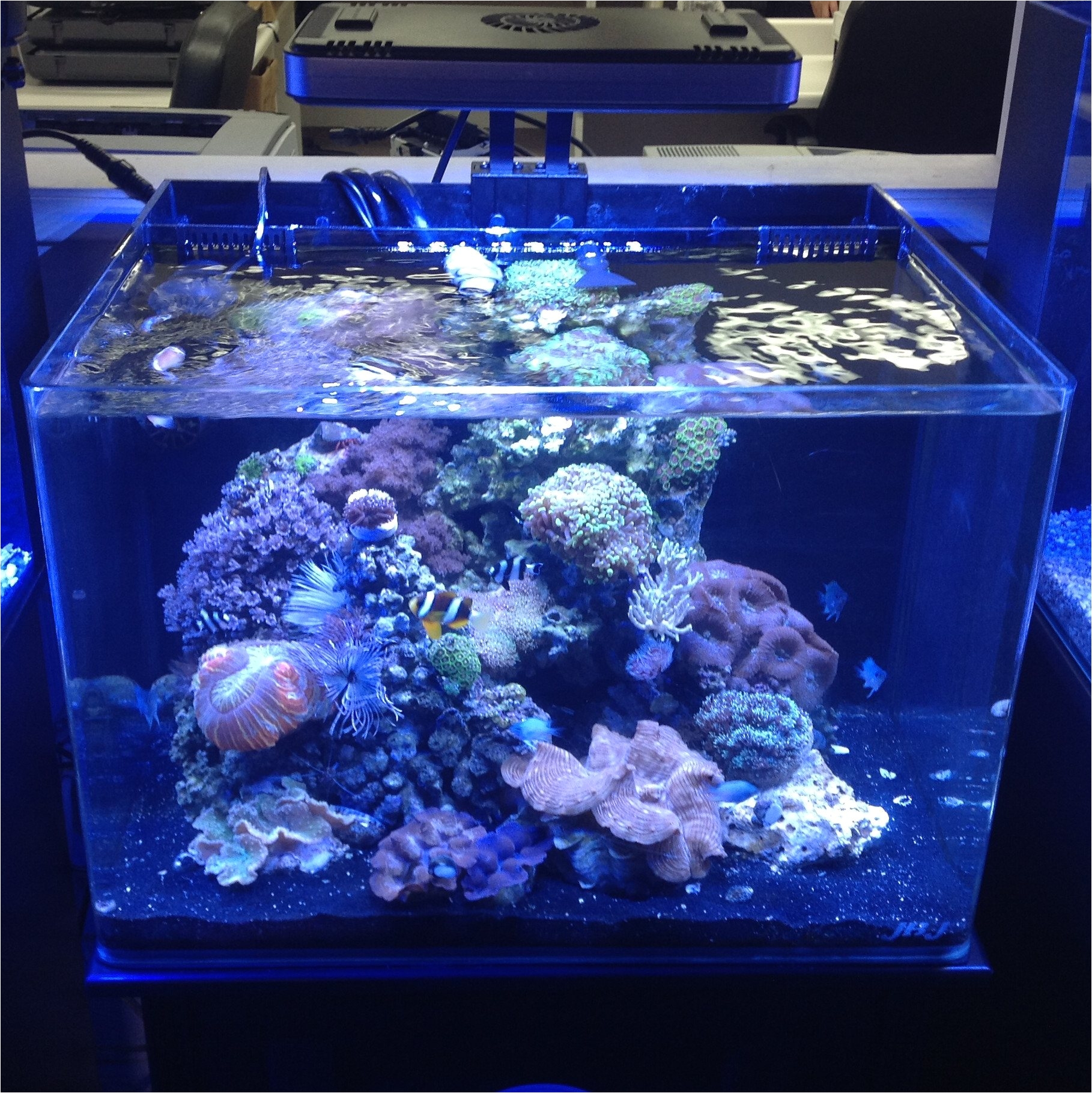 aqt enterprise offers one of the largest selections of jbj aquarium supplies and lights on the net stocking power compact lighting submariner uv