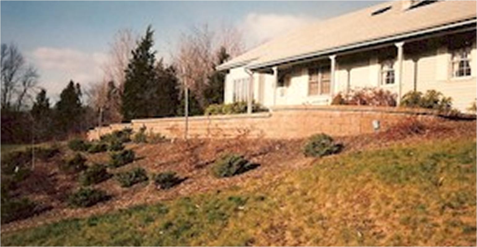 retaining wall hillside planting and sod