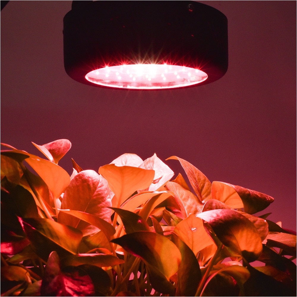 aliexpress com buy new led grow light 50w mini ufo led plant grow light vander emitting diode black white brightness with au uk eu us plug from reliable