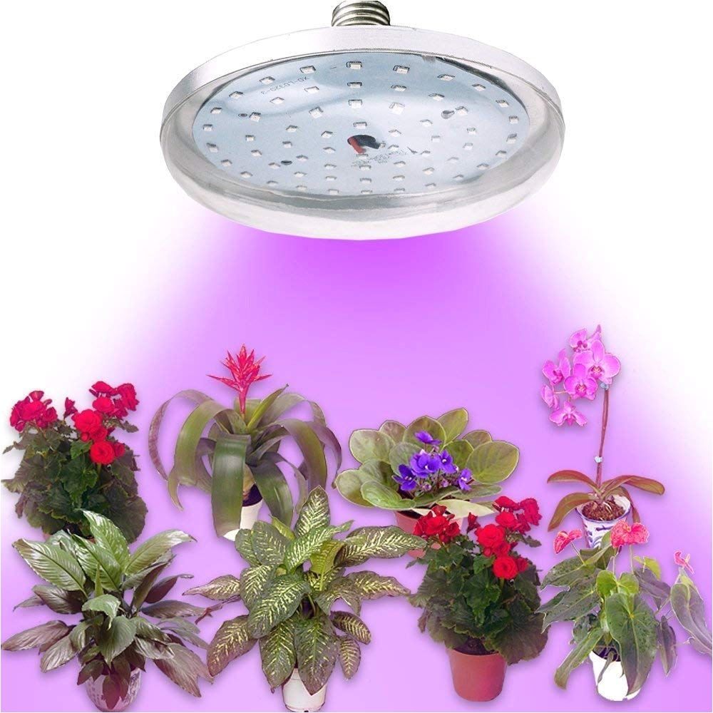 amazon com bonlux led grow light bulb red blue led full spectrum medium screw e26 base 8w plant growing light for garden greenhouse flowering organic