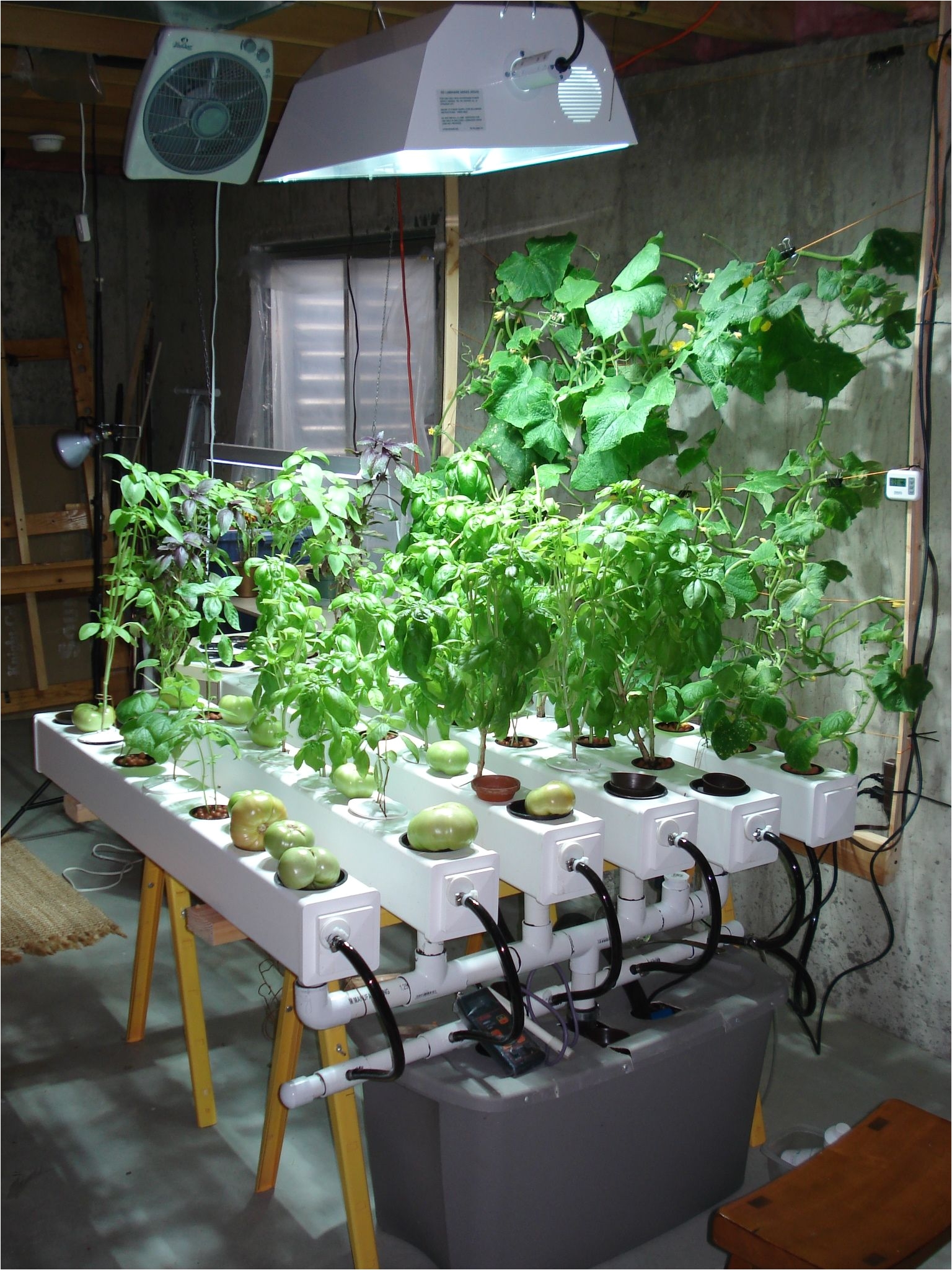 indoor hydroponic garden under hid metal halide plant grow light http highpower4s