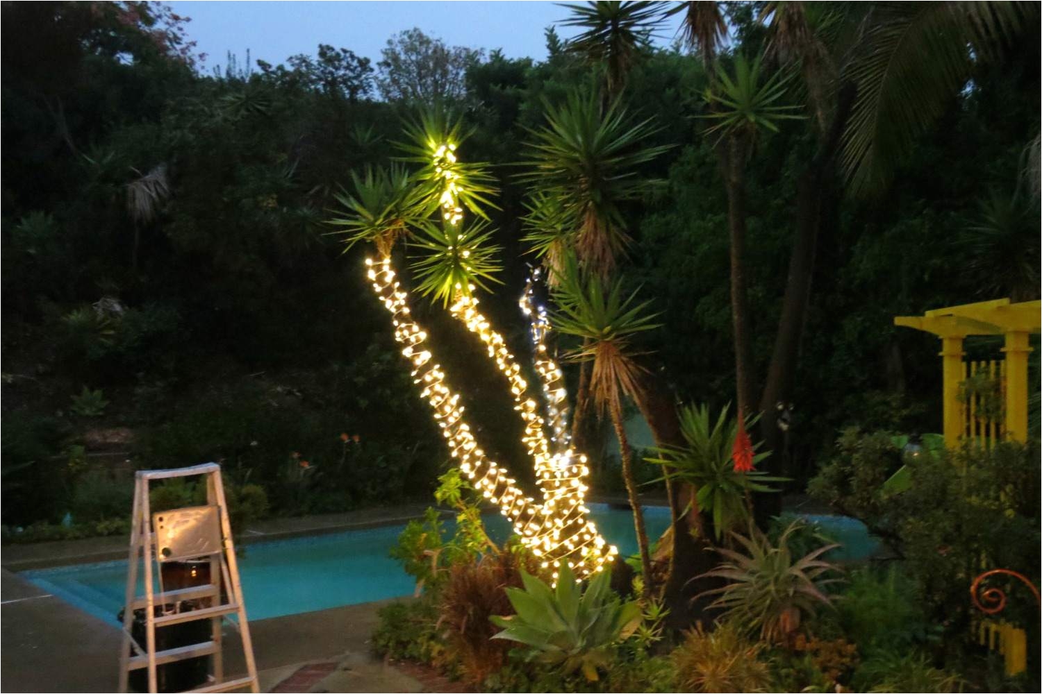 Lighted Palm Tree for Sale How to Wrap Trees with Outdoor Lights