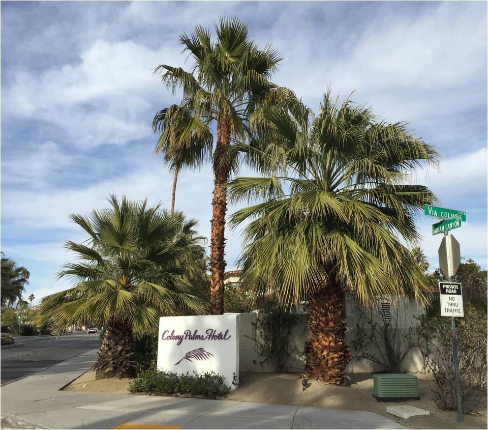 colony palms hotel entrance