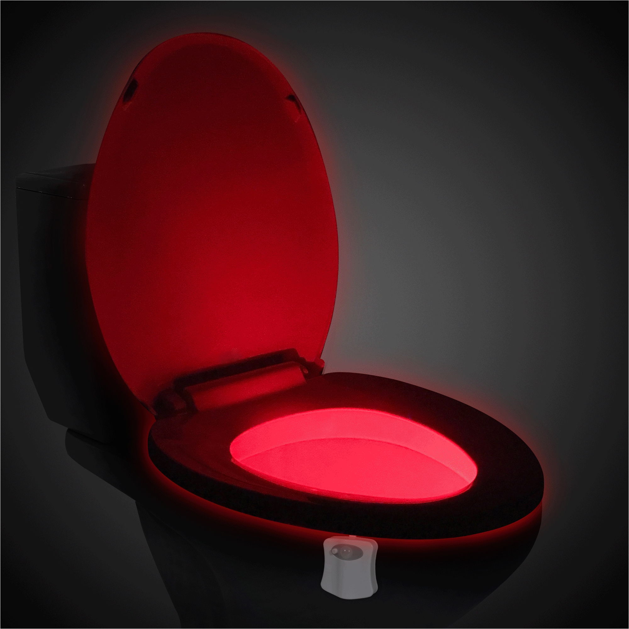 toilet bowl light double click on above image to view full picture