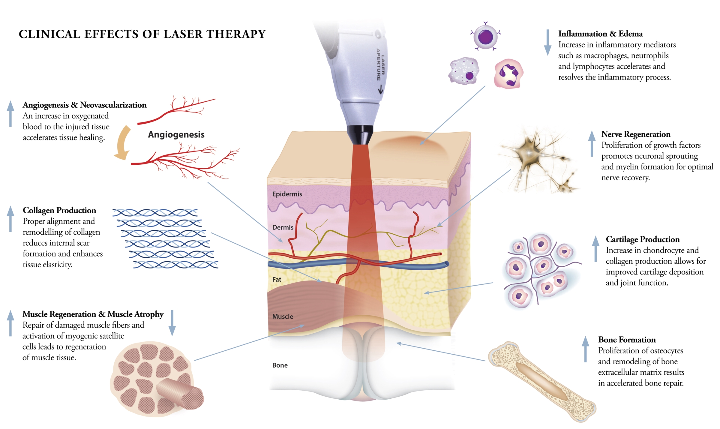 what other benefits do you get from lipo light