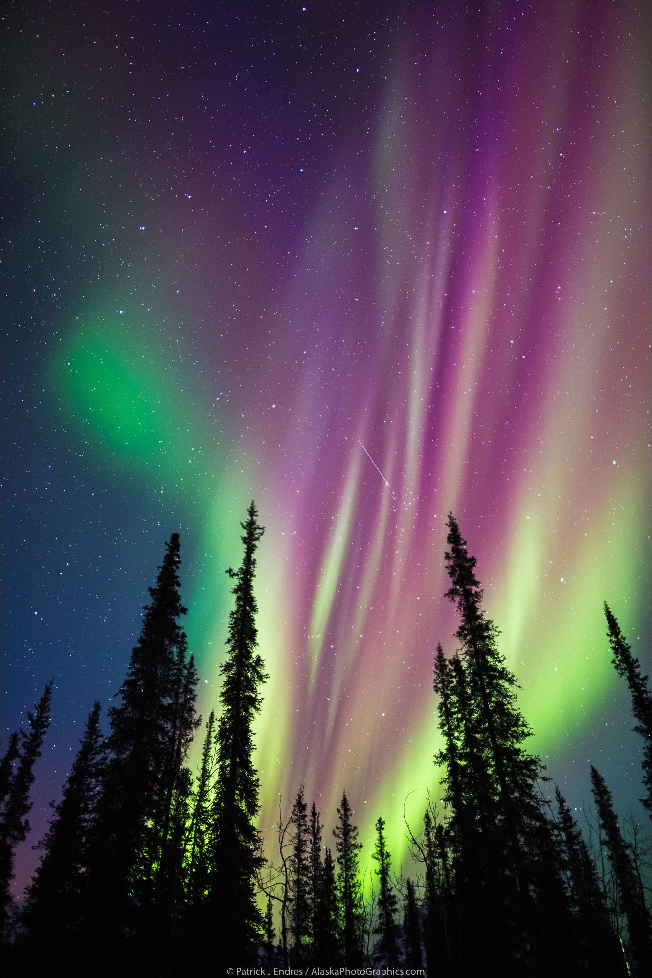 northern lights