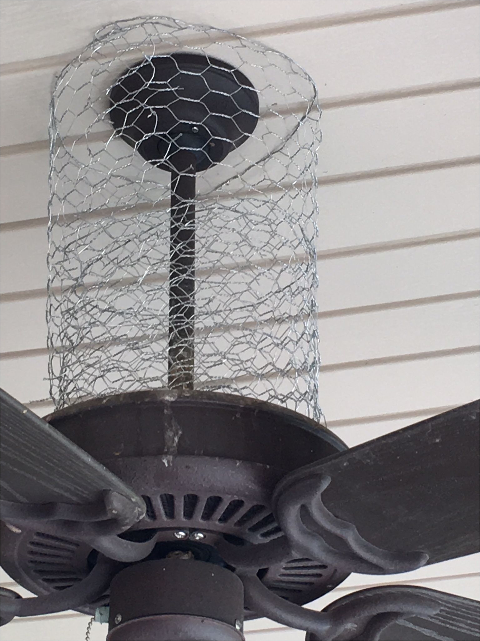 how i keep birds off of my porch chicken wire is a versatile solution to