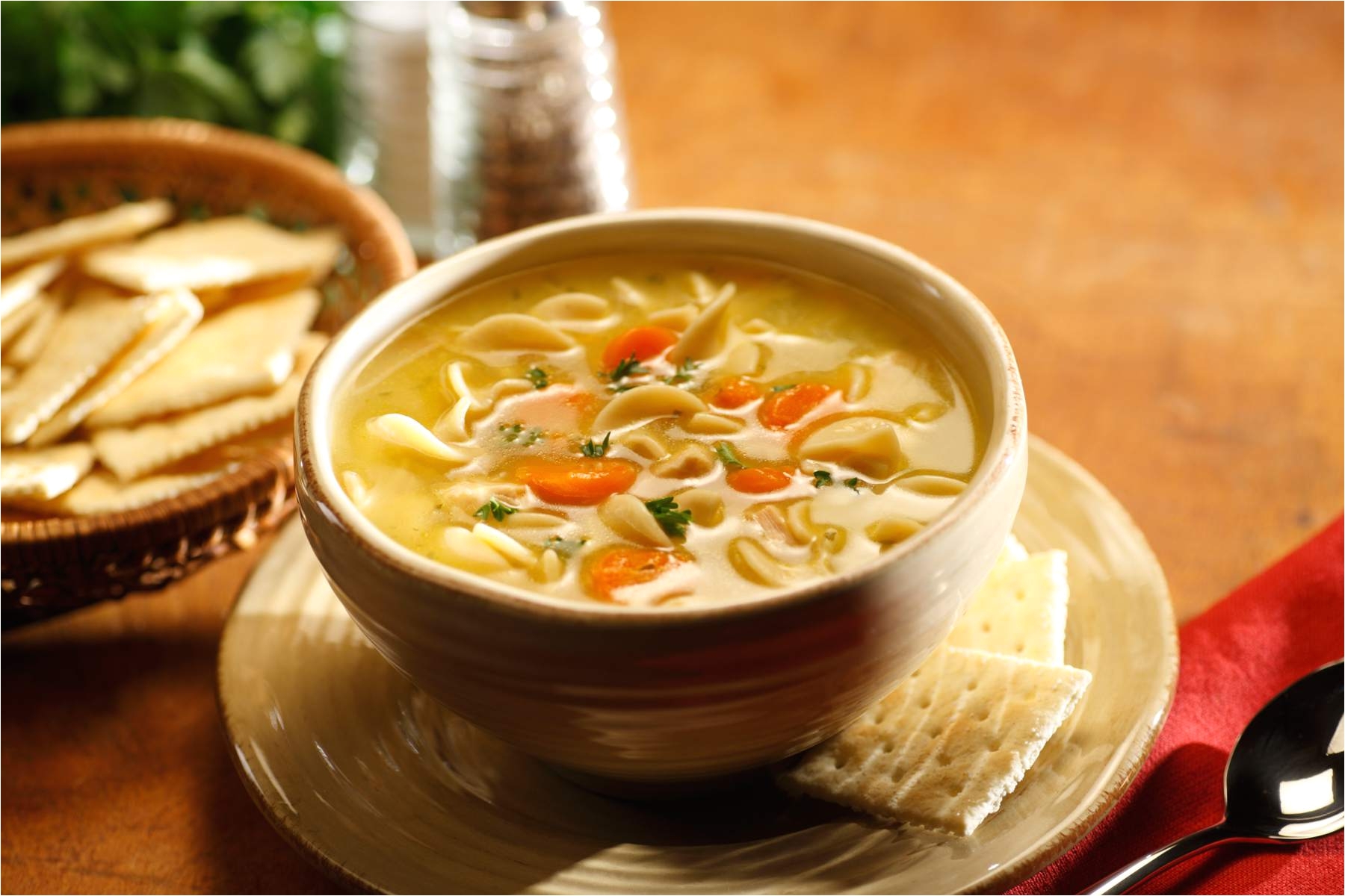 chicken noodle soup g18 56a8c0ce5f9b58b7d0f4d15f