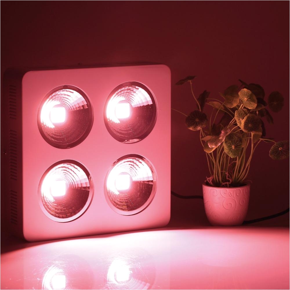 newest designed full spectrum 800w cob led grow light with reflector for hydroponic indoor medical plant commercial cultivation grow light grow lamp grow