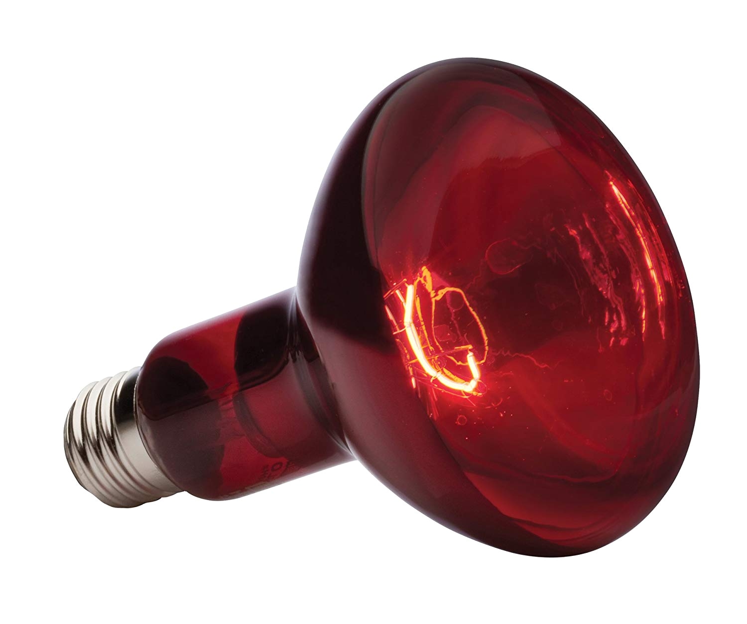 Red Heat Lamp for Chickens Amazon Com Exo Terra Heat Glo Infrared Spot Lamp 150 Watt 120