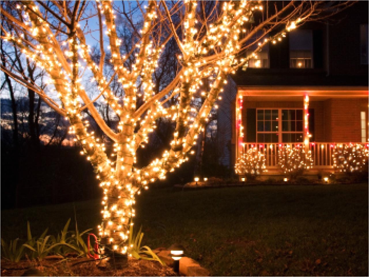 outdoor christmas lights