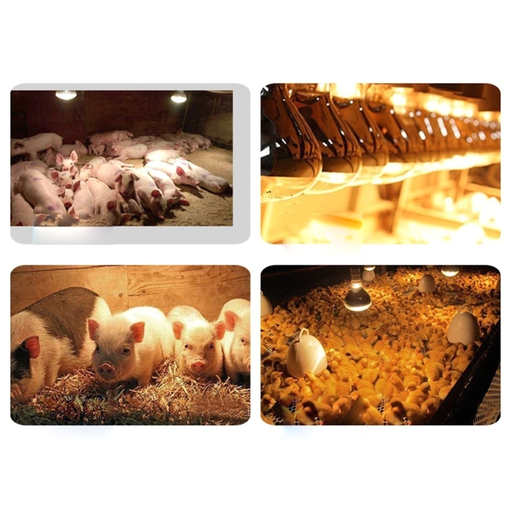 Solar Heat Lamp for Chickens New Arrive Reptiles Breeding Animals Warm Light Heating Bulb Heat