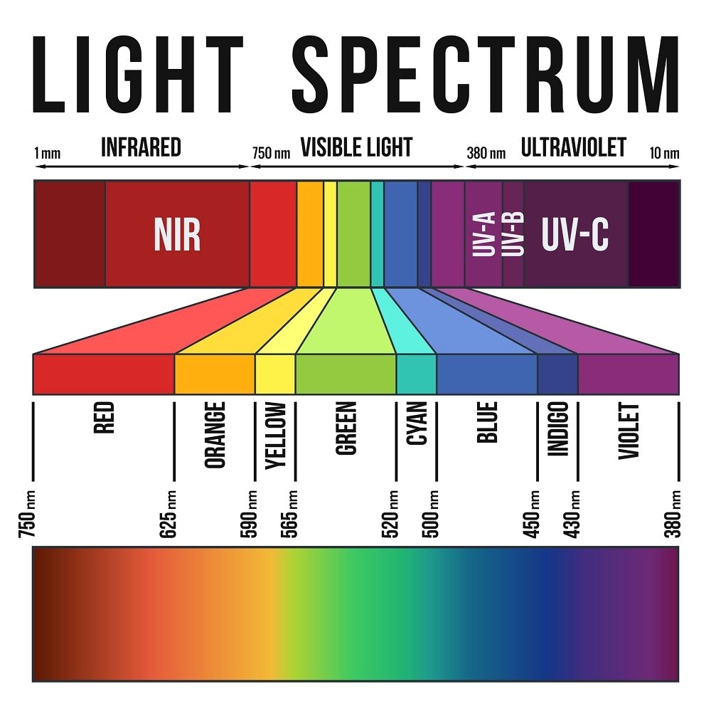 the pros and cons of the different types of grow lights available for indoor agriculture