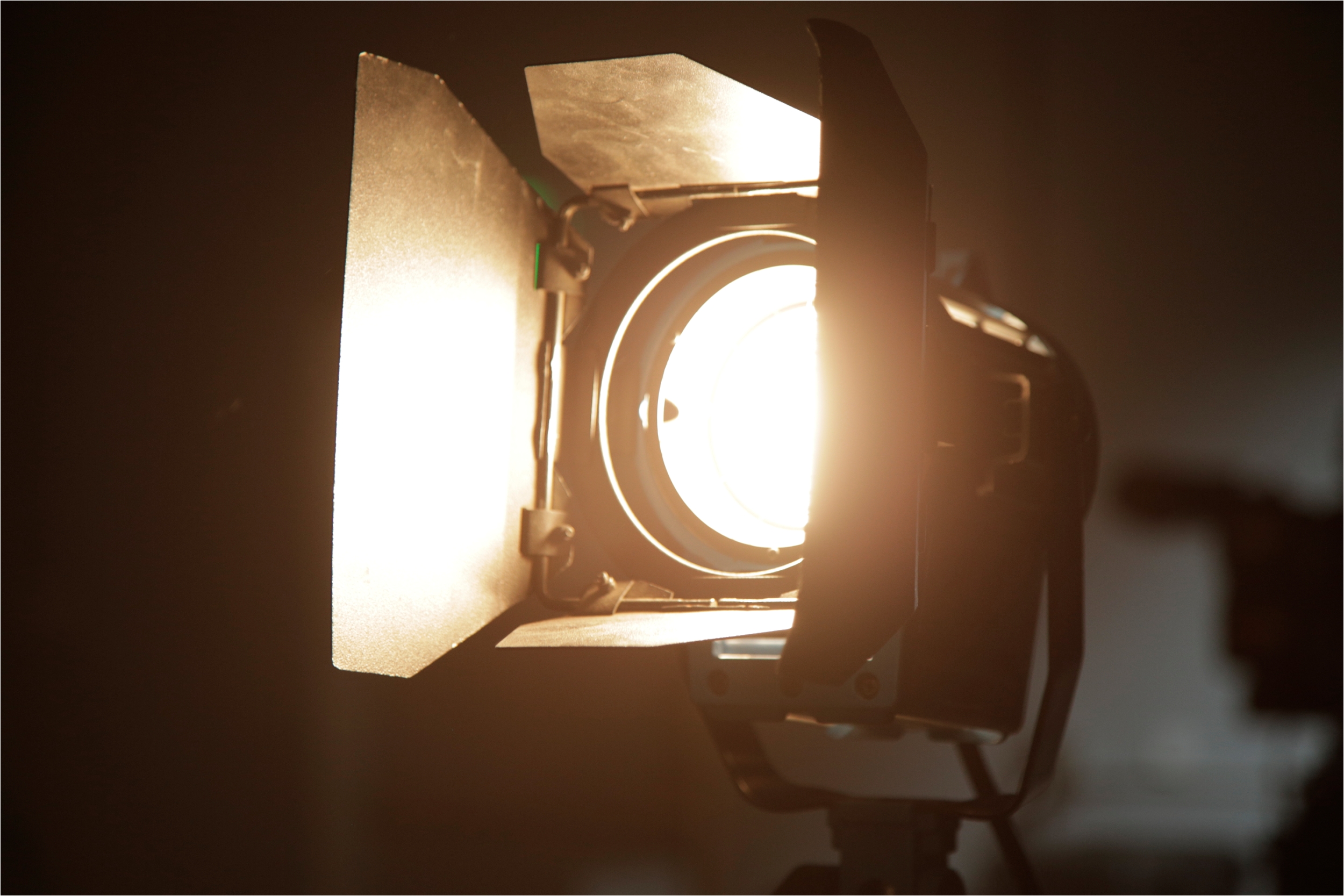 fresnel light with barn doors