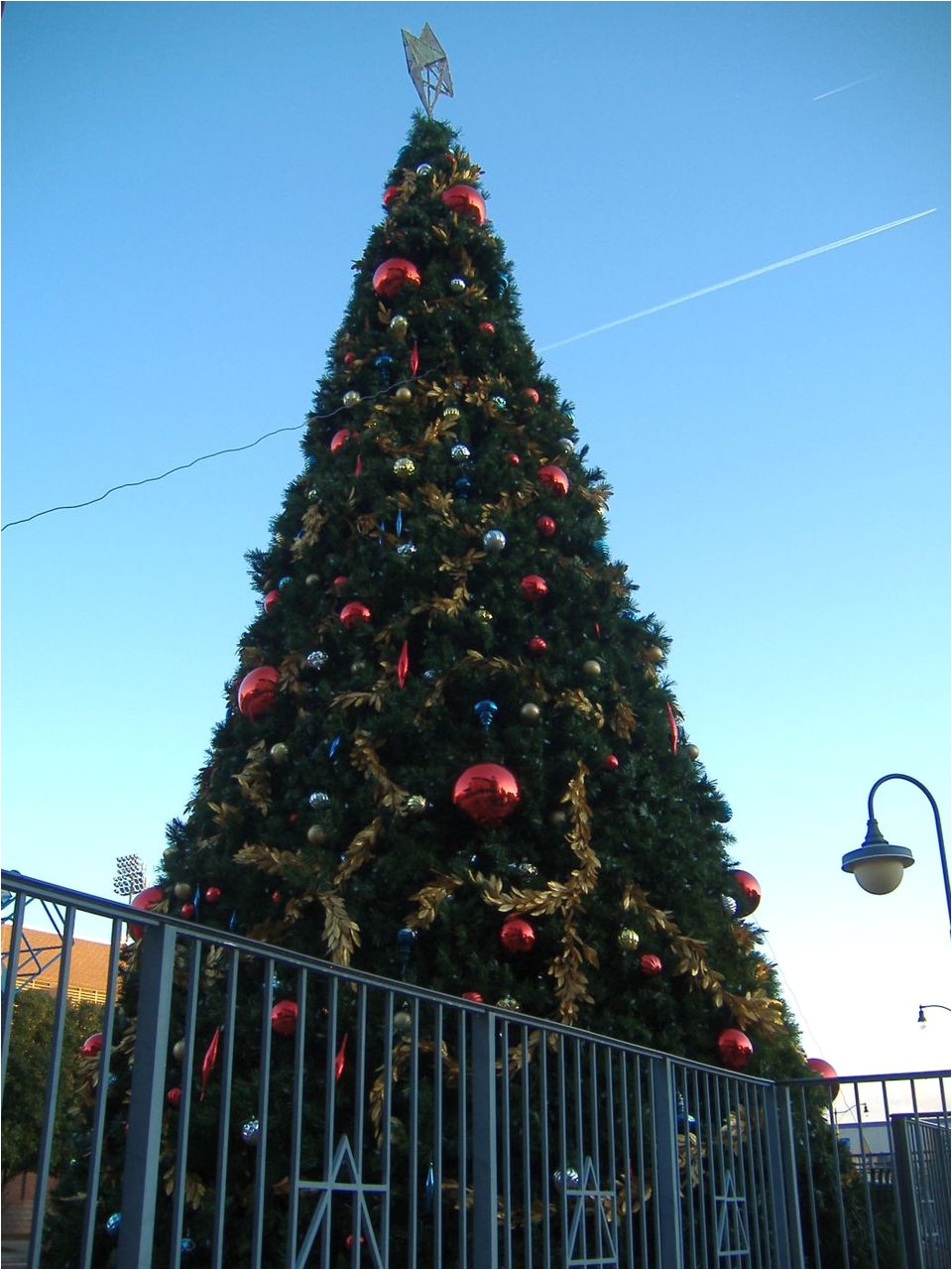 oklahoma state capitol another major okc christmas tree lighting