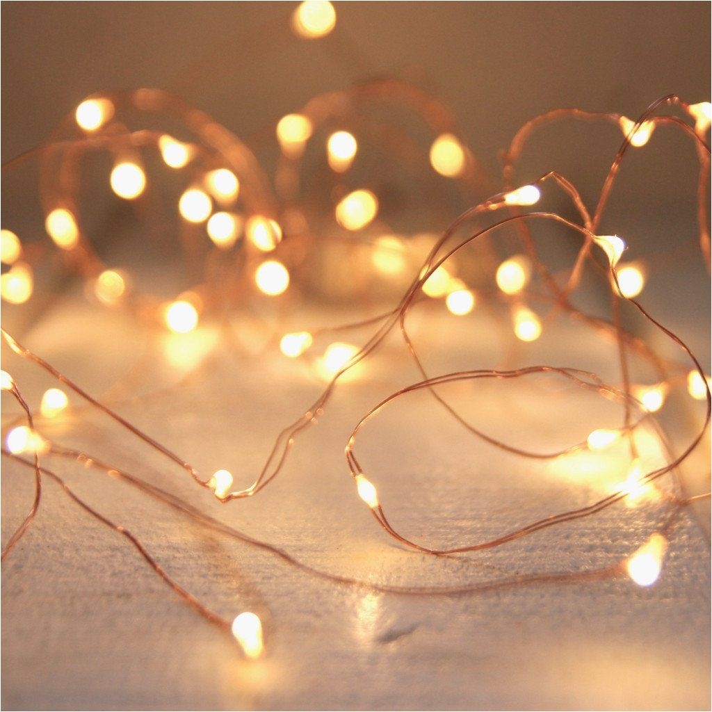 seed lights copper wire 5m beautiful seed lights are so timeless and look great around a window frame or inside a vase