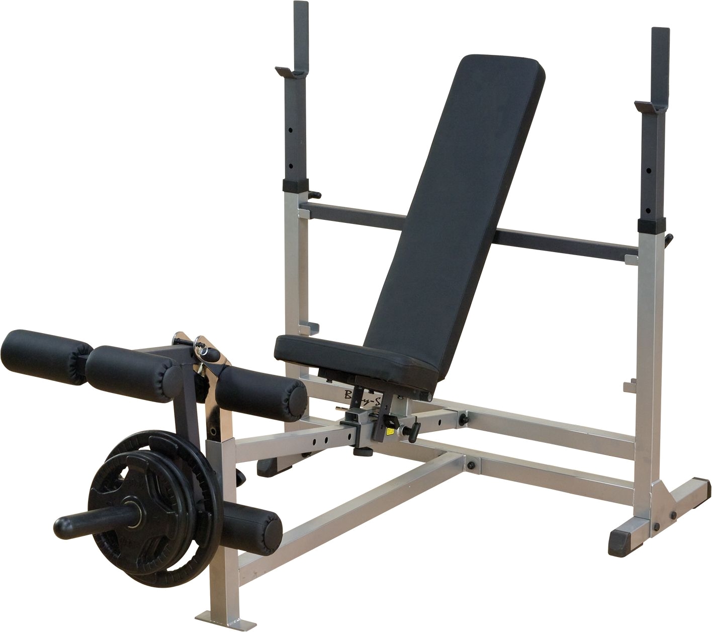 body solid gdib46l olympic weight bench with leg developer