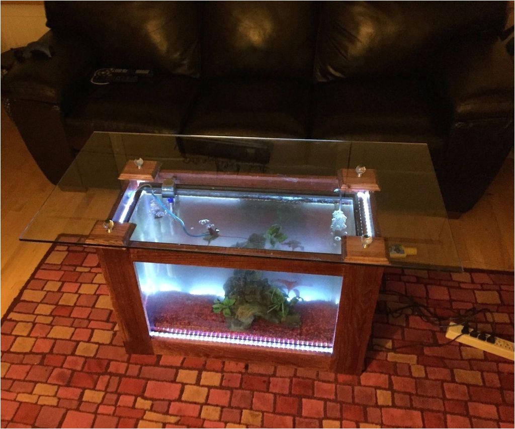 Plans Build Coffee Table Aquarium