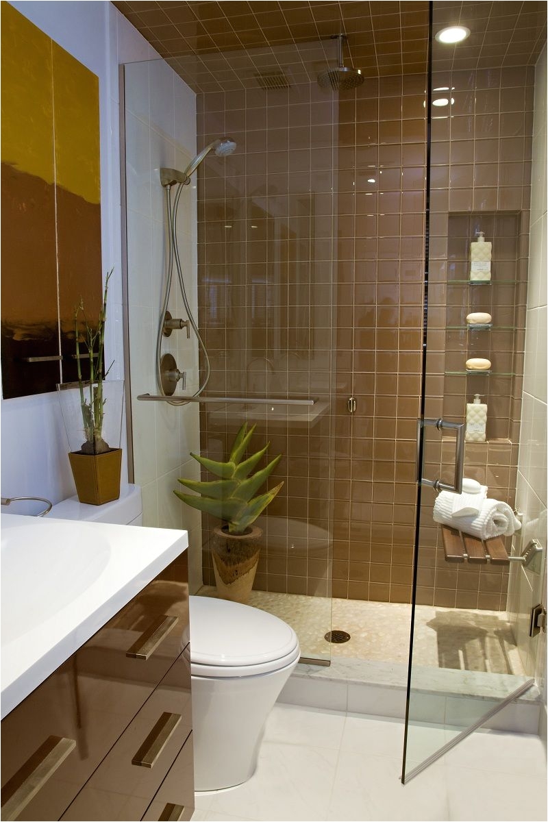 Small Luxury Bathroom Designs More