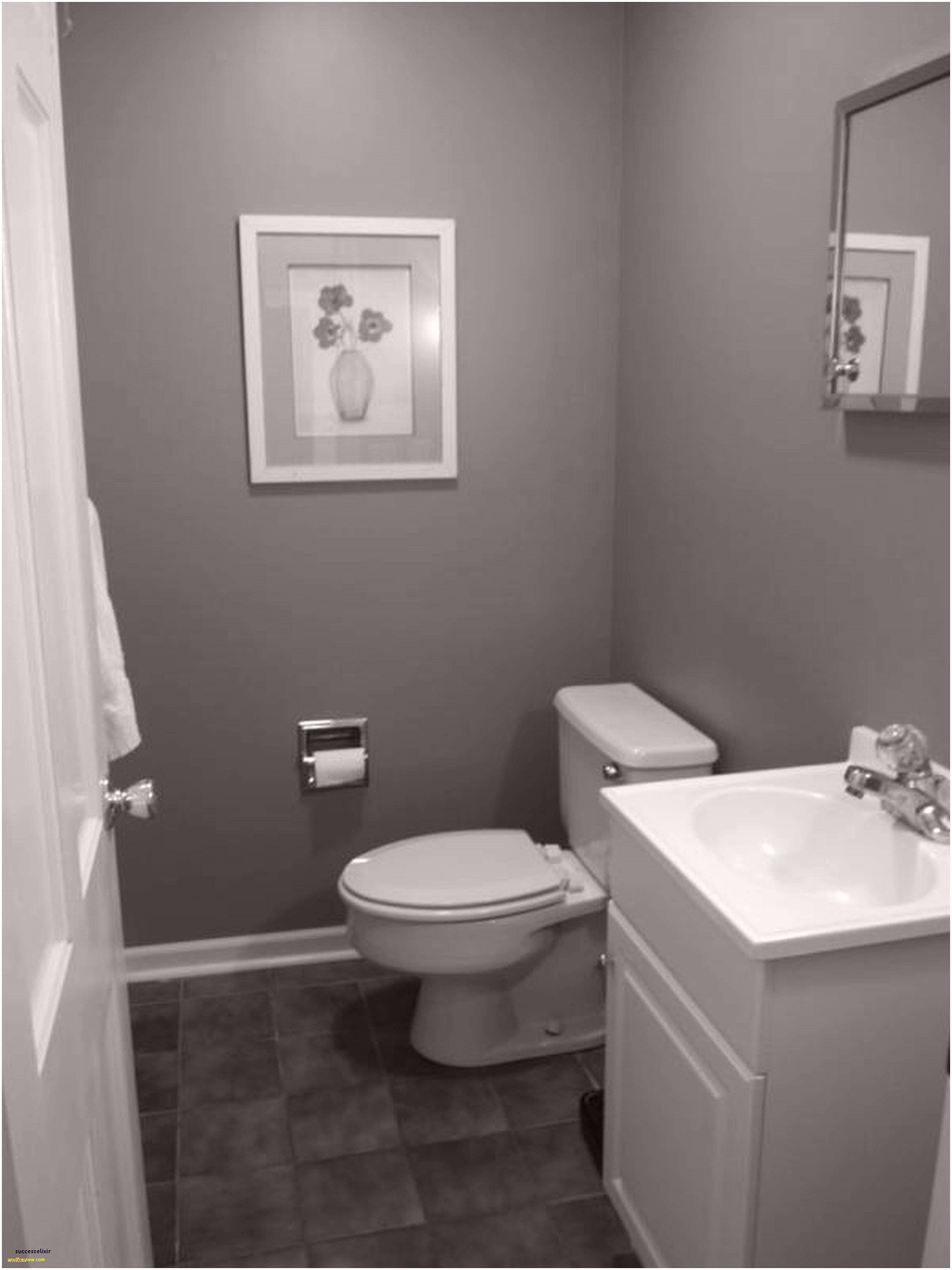 Guest Bathroom Color Ideas Gallery