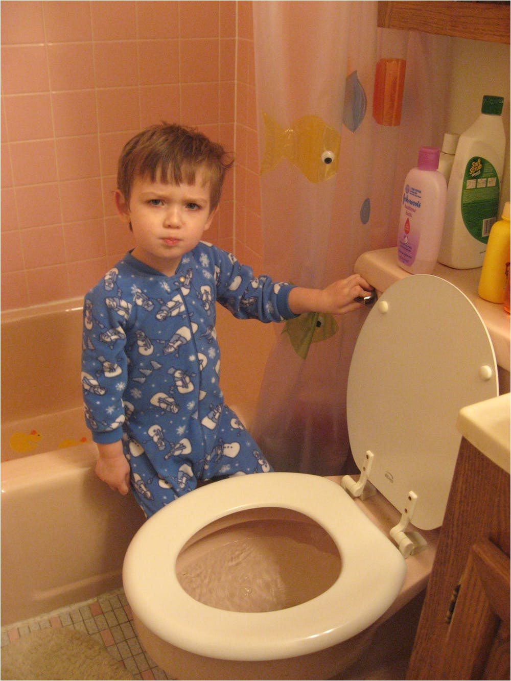 curious kids where does my poo go when i flush the toilet does it go into the ocean