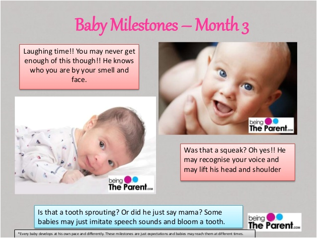 baby milestones 1 to 6 months