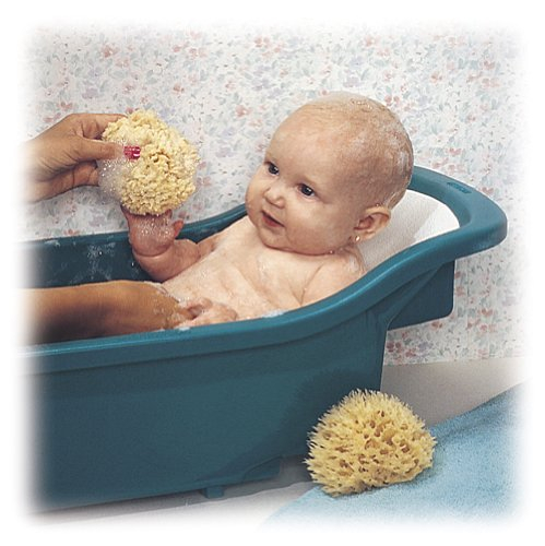 top 10 best baby bath tub seat with suction cups top reviews