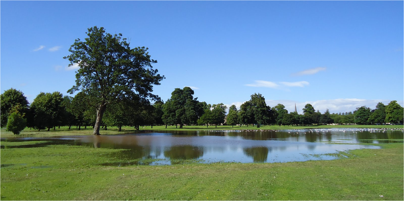 tour perth bird bath scotland