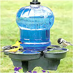 waterer bird bath