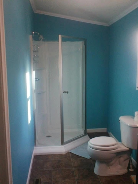 kimberlys bathroom remodel