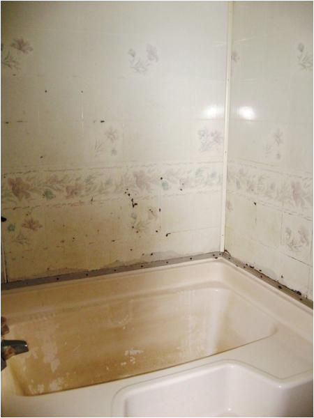 Bathtub Surround Cement Board Fiberglass Tub Was Installed Over top Of Sheetrock