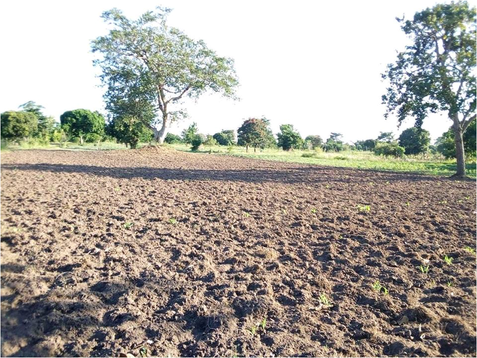 20 acre land for sale in namungalwe iganda