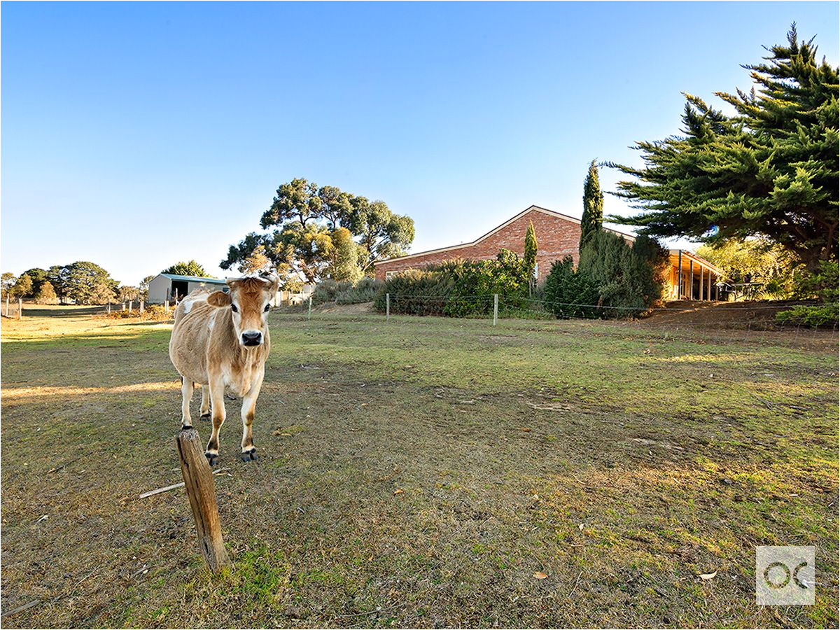 Claw Foot Bath Adelaide sold Property sold Price for 81 Berry Road Mount