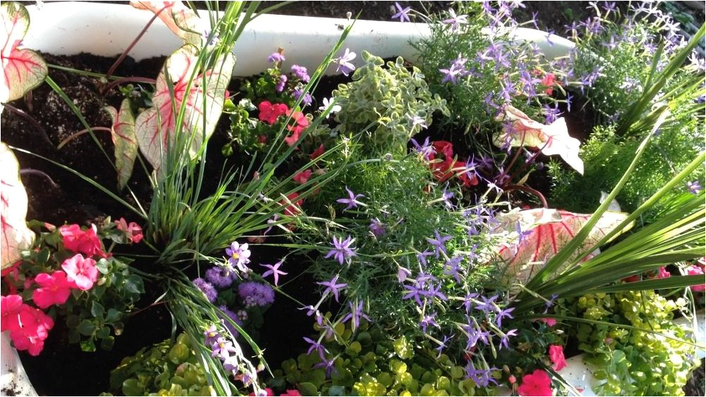 clawfoot tub with water pump garden attraction