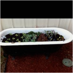 clawfoot tub garden