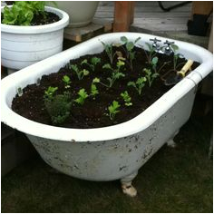 claw foot tubs