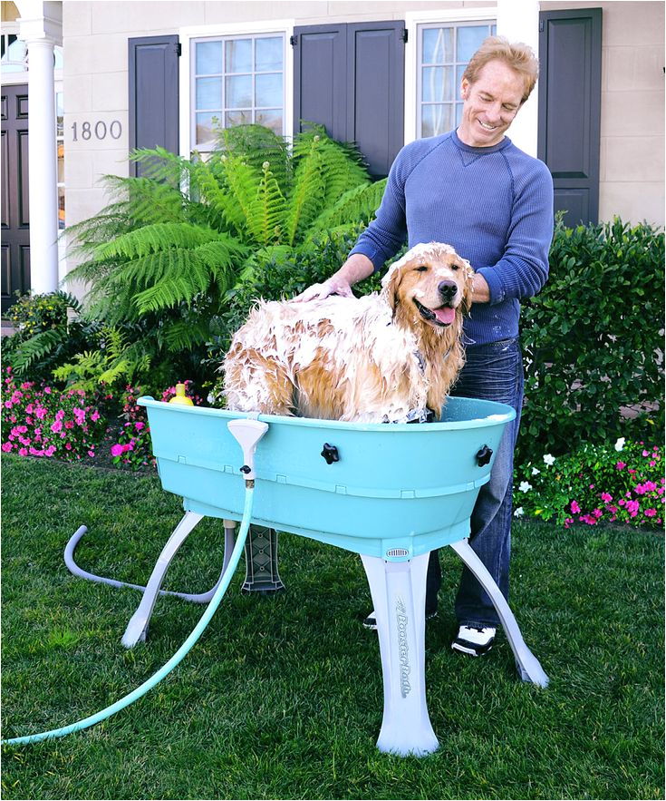 dog bath tub