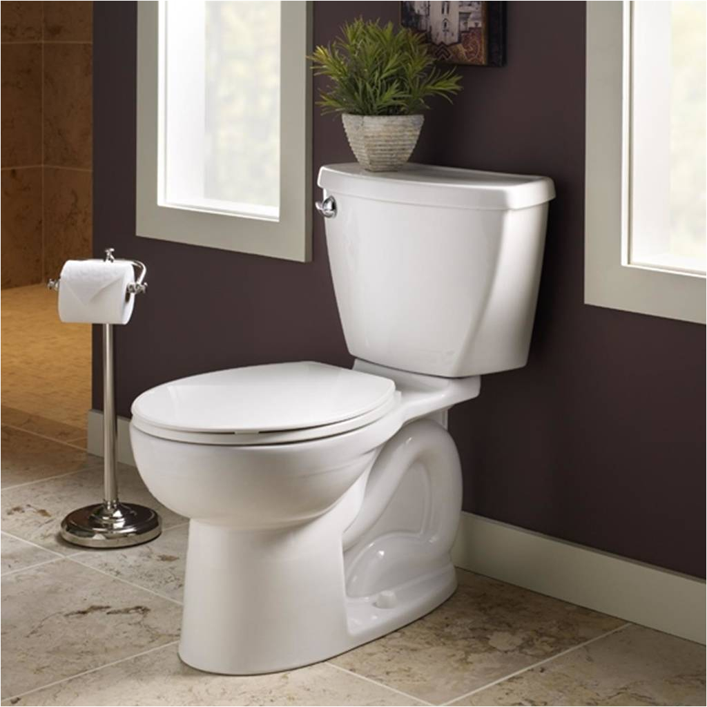 cadet 3 flowise elongated toilet 10 rough